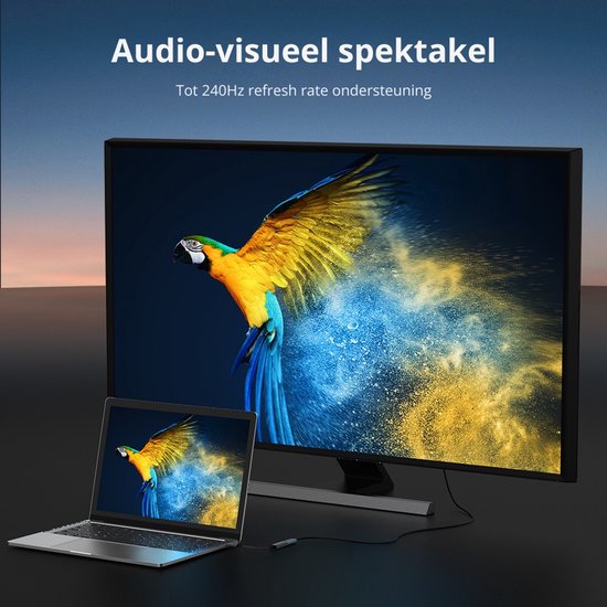 USB-C naar HDMI Adapter 8K HDMI Female